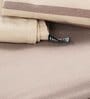 Beige Solid 144 TC 100% Cotton King Sized Bed Sheets with 2 Pillow Covers