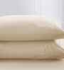 Beige Solid 200 TC Cotton Double Bed Fitted Sheet with 2 Pillow Case 20 Collection