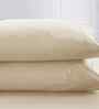 Beige Solid 200 TC Cotton Single Bed Fitted Sheet with 1 Pillow Cover 20 Collection