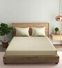 Beige Solid 210 TC Cotton Fitted King Size Bedsheet With 2 Pillow Covers