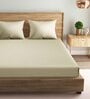 Beige Solid 210 TC Cotton Fitted King Size Bedsheet With 2 Pillow Covers