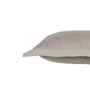 Beige Solid 300 TC Cotton 2 Pillow Sham Set