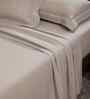 Beige Solid 300 TC Cotton King Size Bed Sheet with 2 Pillow Covers 24 Collection