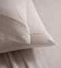 Beige Solid 300 TC Cotton King Size Bed Sheet with 2 Pillow Covers 24 Collection