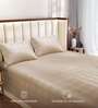 Beige Solid 300 TC Cotton King Sized Bedsheet with 2 Pillow Covers