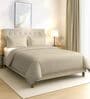 Beige Solid 400 TC Cotton Double Sized Duvet Cover