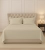 Beige Solid 400 TC Cotton King Sized Bedsheet with 2 Pillow Covers