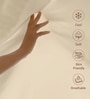 Beige Solid 400 TC Cotton King Sized Bedsheet with 2 Pillow Covers