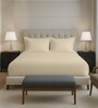 Beige Solid 400 TC Cotton Queen Sized Fitted sheet with 2 Pillow Covers