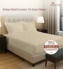 Beige Solid 400 TC Cotton Queen Sized Fitted sheet with 2 Pillow Covers