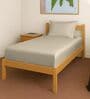 Beige Solid 400 TC Cotton Single Sized Fitted sheet with 1 Pillow Cover
