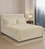 Beige Solid 400 TC Cotton Super King Sized Bedsheet with 4 Pillow Covers