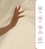 Beige Solid 400 TC Cotton Super King Sized Bedsheet with 4 Pillow Covers