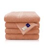 Beige Solid Cotton 500 GSM Hand Towel Set of 4