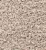 Beige Solid Polyester 28x20 Inches AntiSkid 1 Bathmat & 1 Contour Mat