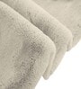 Beige Solid Polyester 3 X 5 Feet Machine Made Carpet