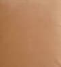 Beige Solid Velvet 16 x 16 Inches Cushion Cover