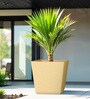Beige Square Shaped Polymer Floor Planter