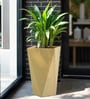 Beige Square Shaped Polymer Floor Planter