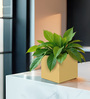 Beige Square Shaped Polymer Floor Planter