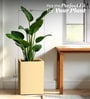 Beige Square Shaped Polymer Floor Planter