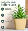 Beige Square Shaped Polymer Floor Planter
