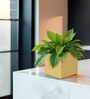 Beige Square Shaped Polymer Floor Planter