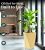 Beige Square Shaped Polymer Floor Planter