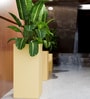 Beige Square Shaped Polymer Floor Planter