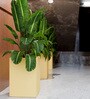 Beige Square Shaped Polymer Floor Planter