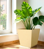 Beige Square Shaped Polymer Floor Planter