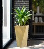 Beige Square Shaped Polymer Floor Planter