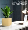 Beige Square Shaped Polymer Floor Planter