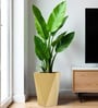 Beige Square Shaped Polymer Floor Planter