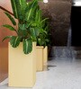 Beige Square Shaped Polymer Floor Planter