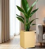 Beige Square Shaped Polymer Floor Planter