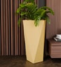 Beige Square Shaped Polymer Floor Planter