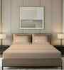 Beige Striped Pattern With Floral Embroidery 500 TC Cotton King Double Bedsheet With 2 Pillow Covers