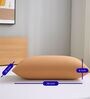 Beige Terry 300 TC Waterproof 18x28 inches Pillow Protector Cover (1Pc)