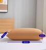 Beige Terry 300 TC Waterproof 18x28 inches Pillow Protector Covers Set of 4