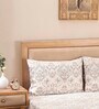 Beige Traditional 300 TC 100% Cotton Queen Sized Bed Sheets with 2 Pillow Covers