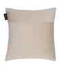 Beige Velvet Abstract 16X16 Inches Cushion Covers (Pack of 5)