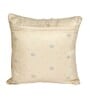 Beige Velvet Abstract 16x16 inches Cushion Covers (1 Pc)