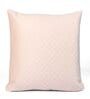 Beige Velvet Solid 24x24 inches Cushion Covers (Pack of 2)