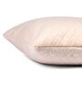 Beige Velvet Solid 24x24 inches Cushion Covers (Pack of 2)