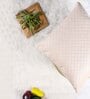 Beige Velvet Solid 24x24 inches Cushion Covers (Pack of 2)