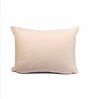 Beige Velvet Solids 18x12 inches Cushion Covers (Pack of 2)