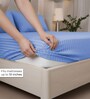 Bel Air Blue Stripe 300 TC Pure Cotton King Fitted Bedsheet with 2 Pillow Covers
