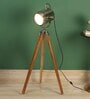 Belfast Floor Lamp ( Nickle & Teak)