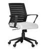 Bella Ergonomic Chair In Grey Colour